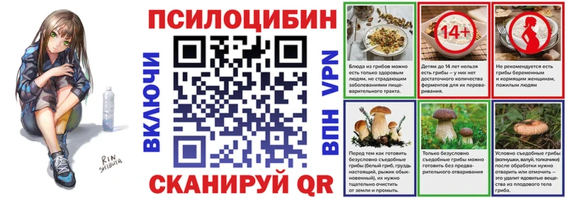 закладки  Красный Сулин  Псилоцибиновые грибы MAGIC MUSHROOMS 